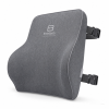 EliteBack Office Cushion