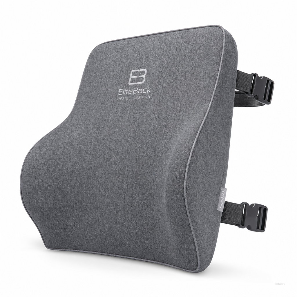 EliteBack Office Cushion